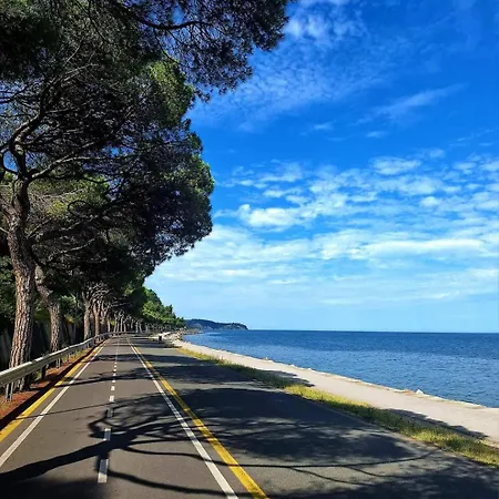 Daire Sea Place Rene Koper